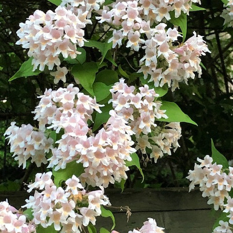 image3.jpeg