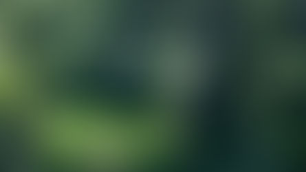 Koh Phi Phi - Travelling to Island Paradise