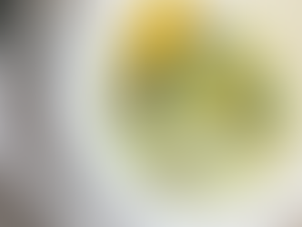 Kürbisknödel mit Pilz-Spinat-Rahm