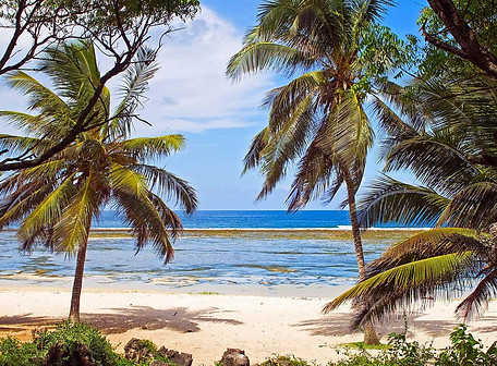 kenya beach.jpeg