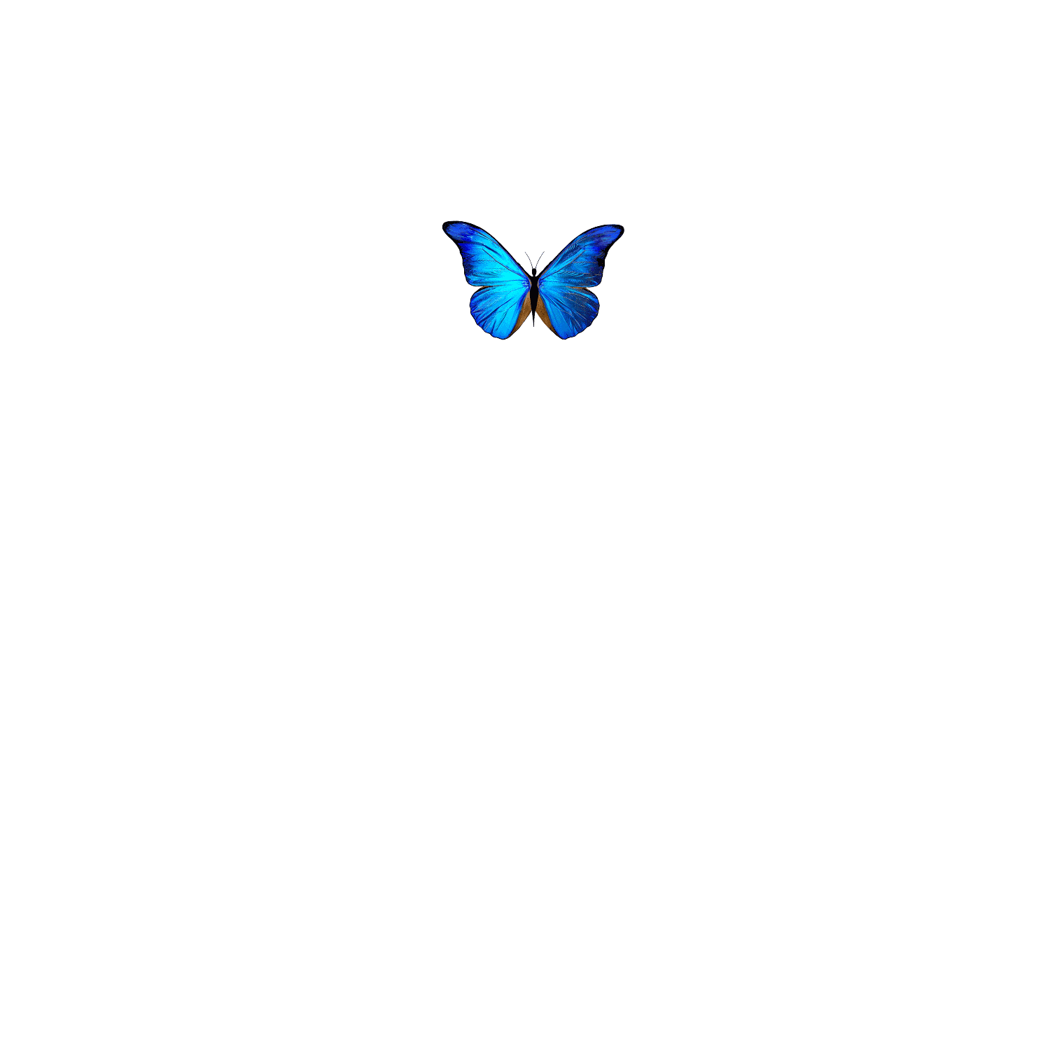 gif.gif