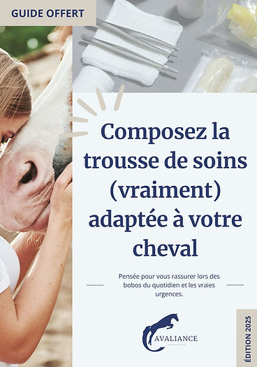 Composez la trousse de soins (vraiment) adaptée à votre cheval.jpg