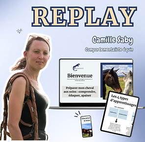 Miniature - Webinaire (6).png