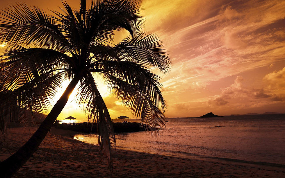 wallpaper_papeldeparede-12