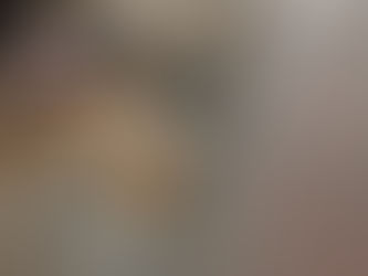 インドの記憶4 打ち捨てられた仔犬
