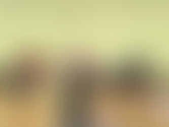 L’envol de la grue :
le lundi matin un peu de hatha yoga traditionnel dans le pilates débutant 😁