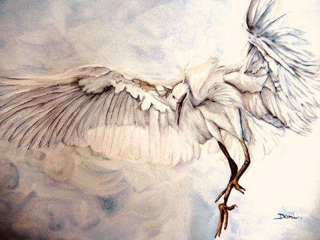 L’envol de la grue s’envole en vous offrant l’espérance de belles fêtes de fin d’année 🧘🏻♀️🙇♀️