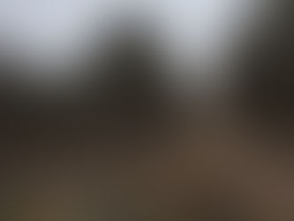 Que se alcen las brujas, que esta es su noche...