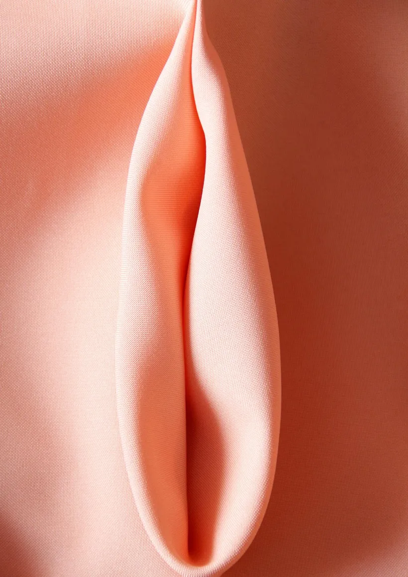 female-labia-made-stock-photo.webp