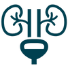 perfil hormonal (2).png