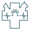 perfiles (2).png
