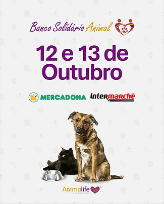 bsa 12 de outubro.jpg
