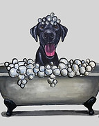 Lab Bath
