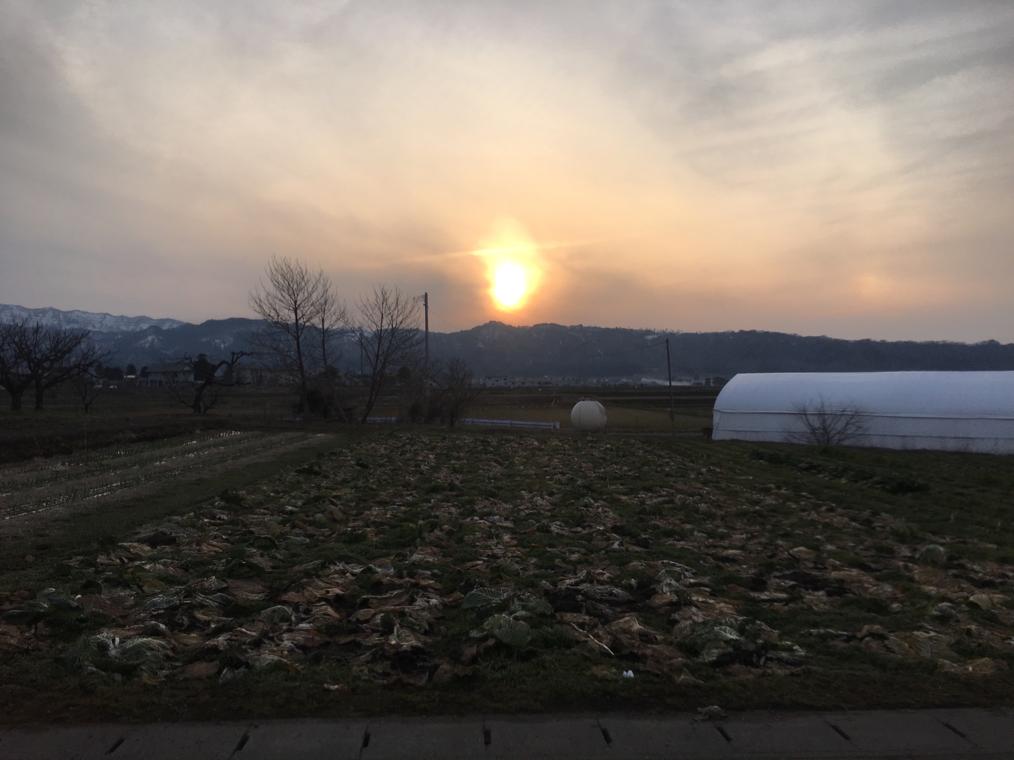 畑からの夕日