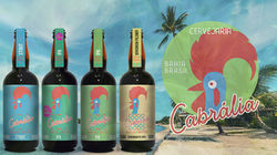 Identidade Visual e rótulos