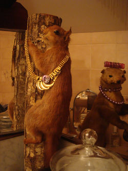 Salle_de_bain_APRES_détails_02.JPG