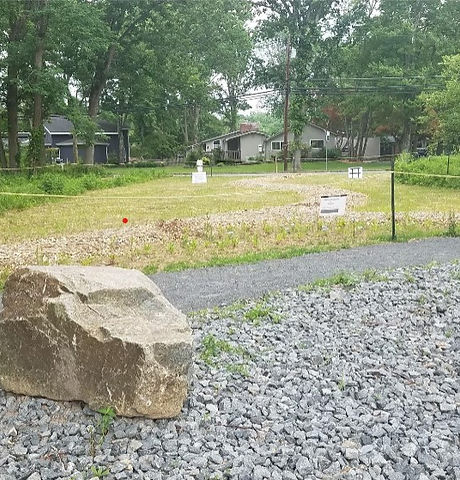 Meadow restoration.jpg