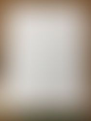 人体図鑑を作る