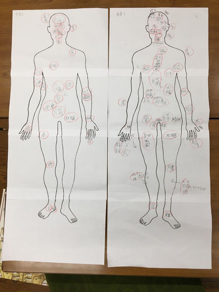 人体図鑑を作る