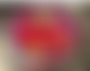 ブログと子どもたち