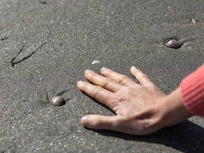 Test musculaire doux en séance de kinésiologie à Aix-en-Provence révélant les déséquilibres énergétiques