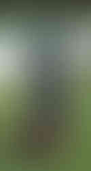 業務用災害対応モデル「つたわるくん」