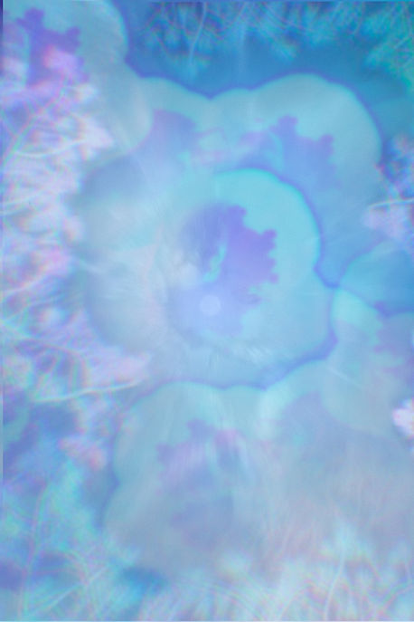 Website BG4_edited.jpg