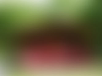 冬期(12月~4月中旬)はお休みです。