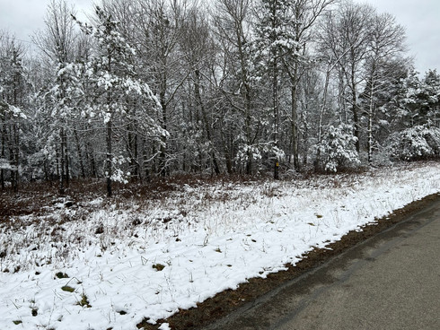 IMG_8819 - Copy.JPEG