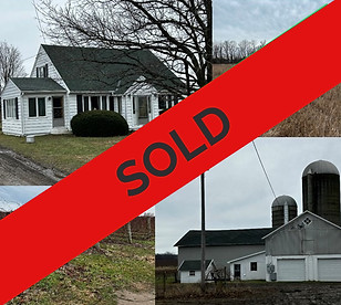 wix pic 1_edited_edited.jpg