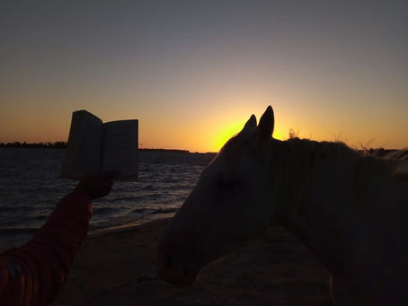 Títulos de libros con cada letra del abecedario.