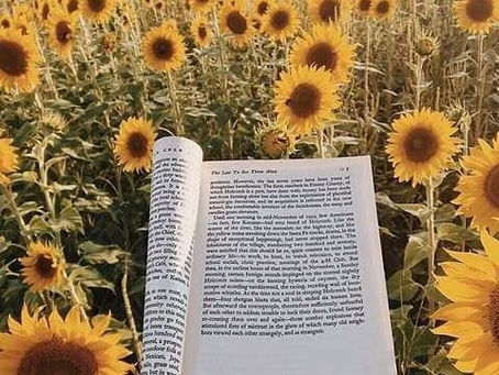 ¿ Cómo encontrar un espacio perfecto para leer?