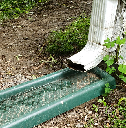 20190617_150512_Downspout.jpg
