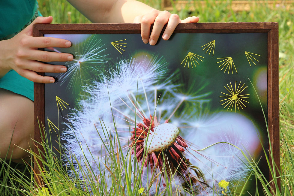 3-Dans le jardin de mes voisins © Fabien Colin