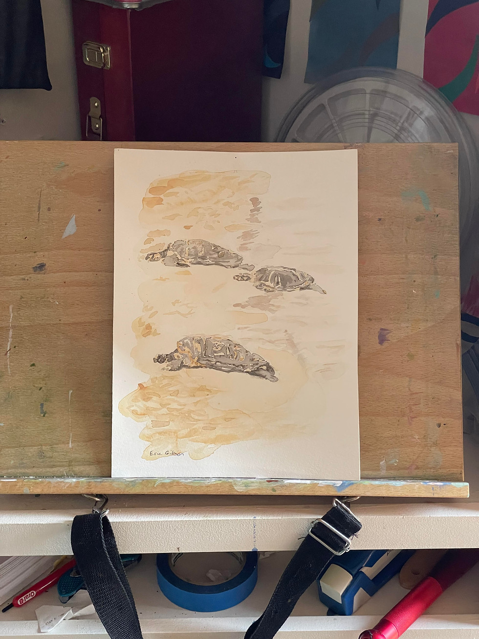 Thumbnail: Sea Turtles On The Beach