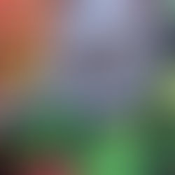 Hagámoslo Rico en Santa Marta  