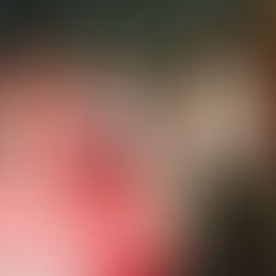 Designan a los Reyes del Carnaval Diverso 2020 de Soledad