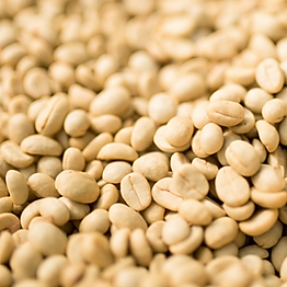 Washed Coffee.png