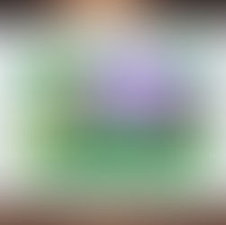 New Product Available! Jungle Gathering Personalised Baby Gift