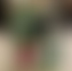 New Mugs From My Redbubble Shop