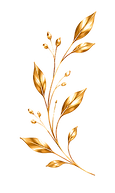 Arabescos 01.png