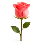 Rosa.png