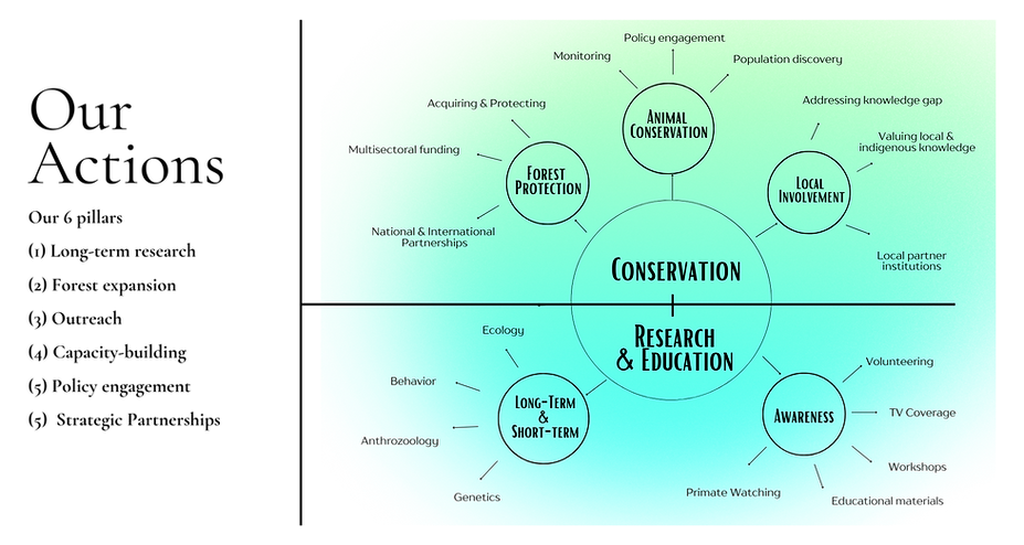Copy of NGO  Conceptual map for website (Garamond).png