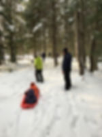 sleds.jpeg