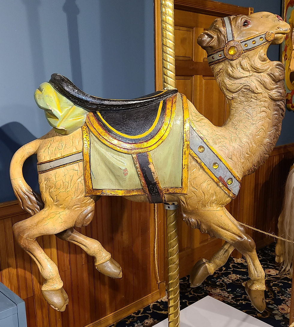 Thumbnail: Looff Jumping Camel