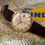 Thumbnail: 1960s Omega Seamaster De Ville Watch "...Omega Marks Olympic Records" Advert