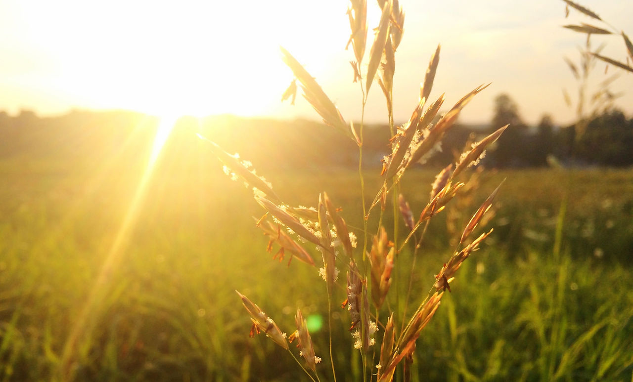 Sunrise_edited.jpg
