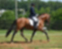 4fbcd3ef-bb5f-41c1-bb1c-29f381235d7c_edited.jpg