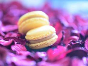 הקצפת חלבונים במעבד מזון