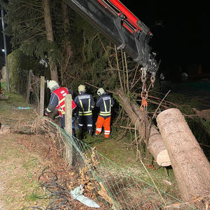 Sturm über Eichgraben sorgt für zahlreiche Einsätze